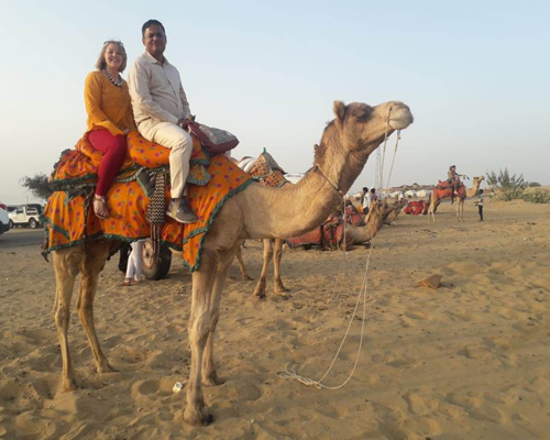 Desert Safari Camel Ride Tours