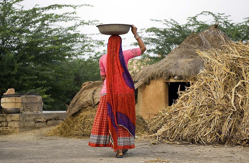 Authentic bishnoi village safari